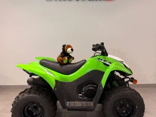 Kawasaki KFX