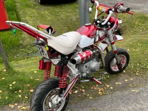 Zhenua Monkey