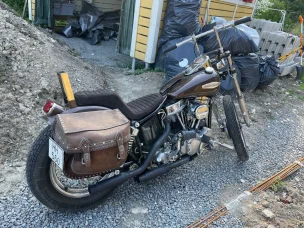 Harley-Davidson Panhead