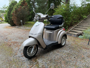 Znen E-Cruise