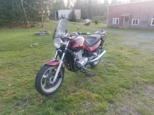 Suzuki GSX-G