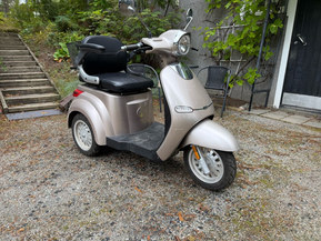 Znen E-Cruise