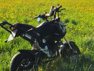 Honda MSX