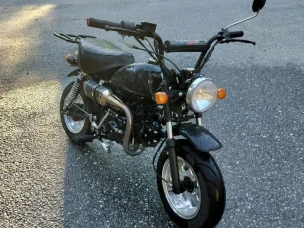 Zhenua Monkey