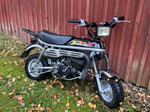 Suzuki PV