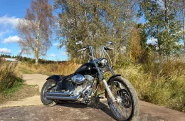 Harley-Davidson Softail