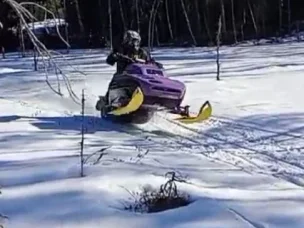 Lynx Cobra
