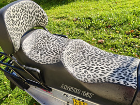 Arctic Cat Panther
