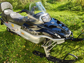 Arctic Cat Panther