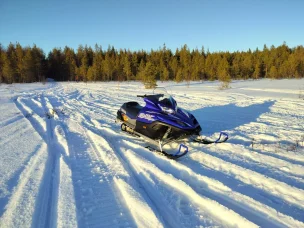 Yamaha SXViper