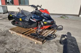 Ski-Doo Renegade