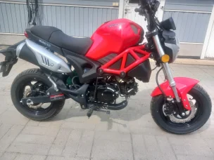 Dynamic Monster
