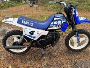 Yamaha PW