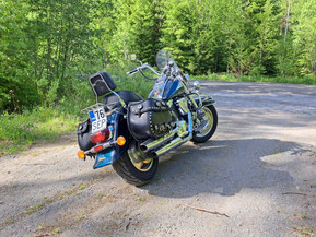 Suzuki VL