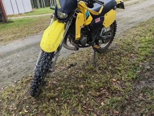 Suzuki TS