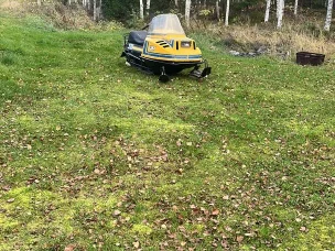 Lynx 530