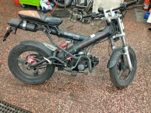 Sachs MadAss