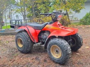 Suzuki Quad Runner