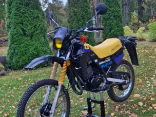 Suzuki TS