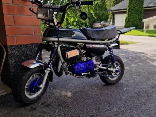 Suzuki PV