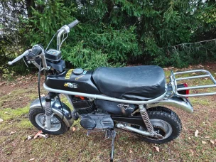 Suzuki PV