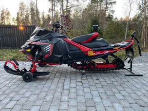 Lynx Rave