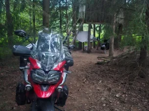 Triumph Tiger