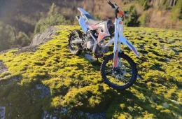 BSE 110cc