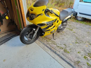 Suzuki GSX