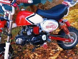 Conan St-50