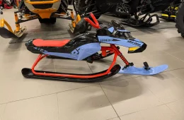 Ski-Doo Freeride