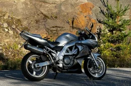 Suzuki SV