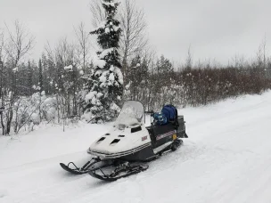 Lynx 250
