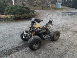 Aeon Cobra