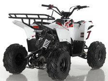 Apollo Motors Commander