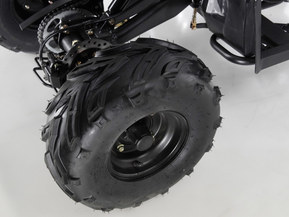 Apollo Motors Commander