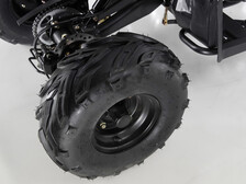 Apollo Motors Commander