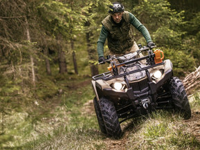 Yamaha Kodiak