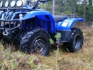 Yamaha Bruin