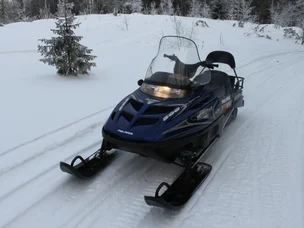 Polaris WideTrak LX