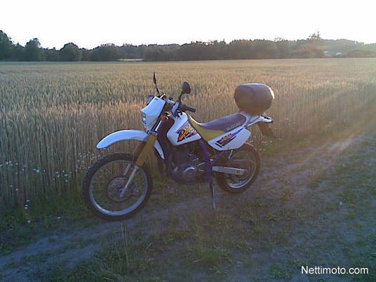 Suzuki DR