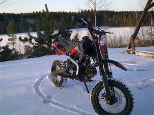 MadCow 125