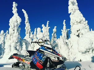 Polaris Pro RMK