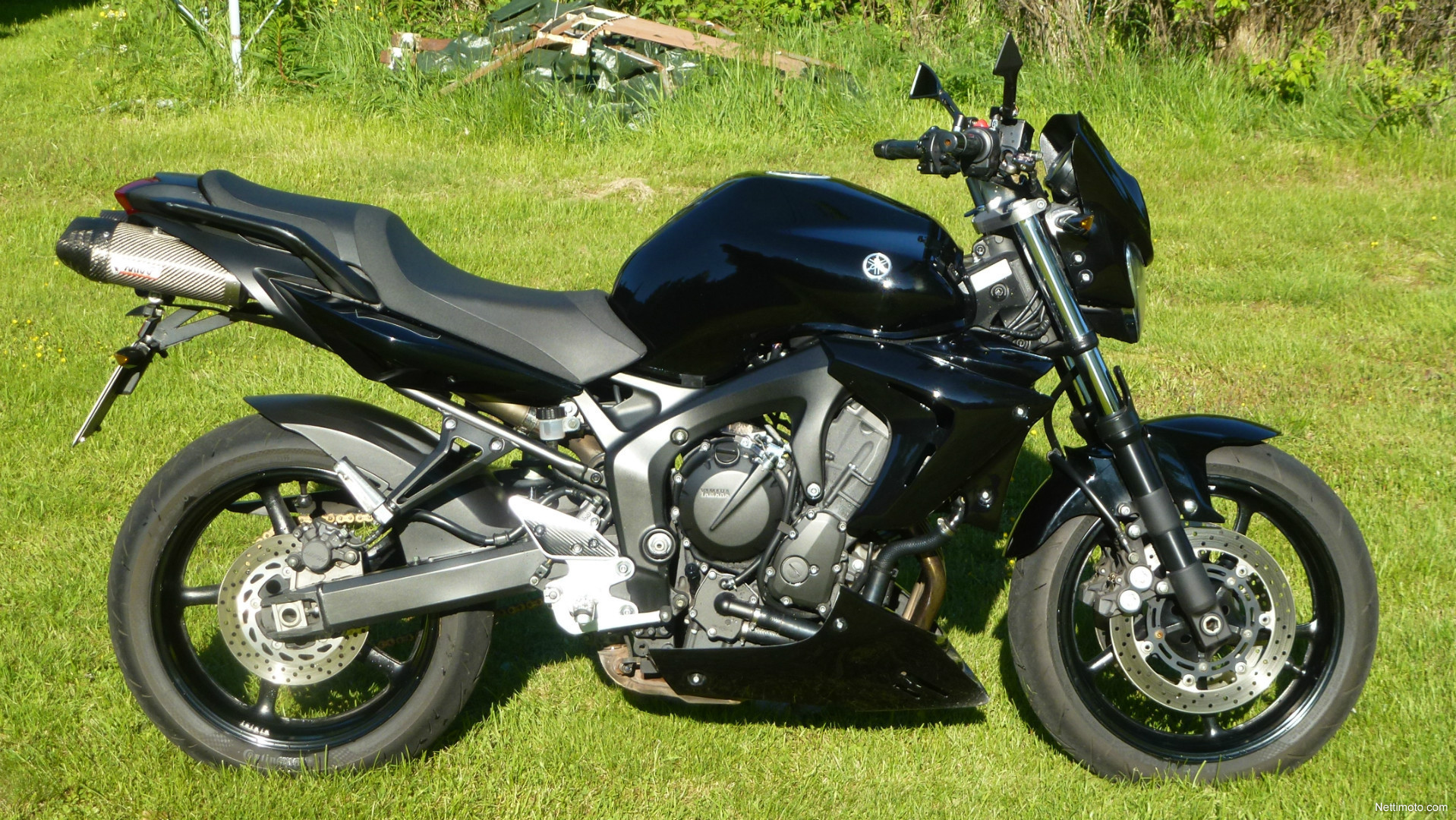 Yamaha FZ6-N