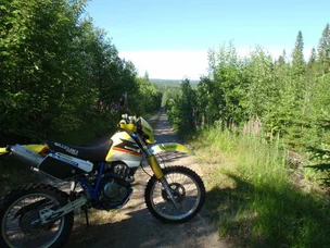 Suzuki DR