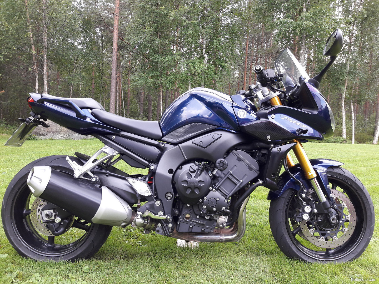 Yamaha FZ1-S