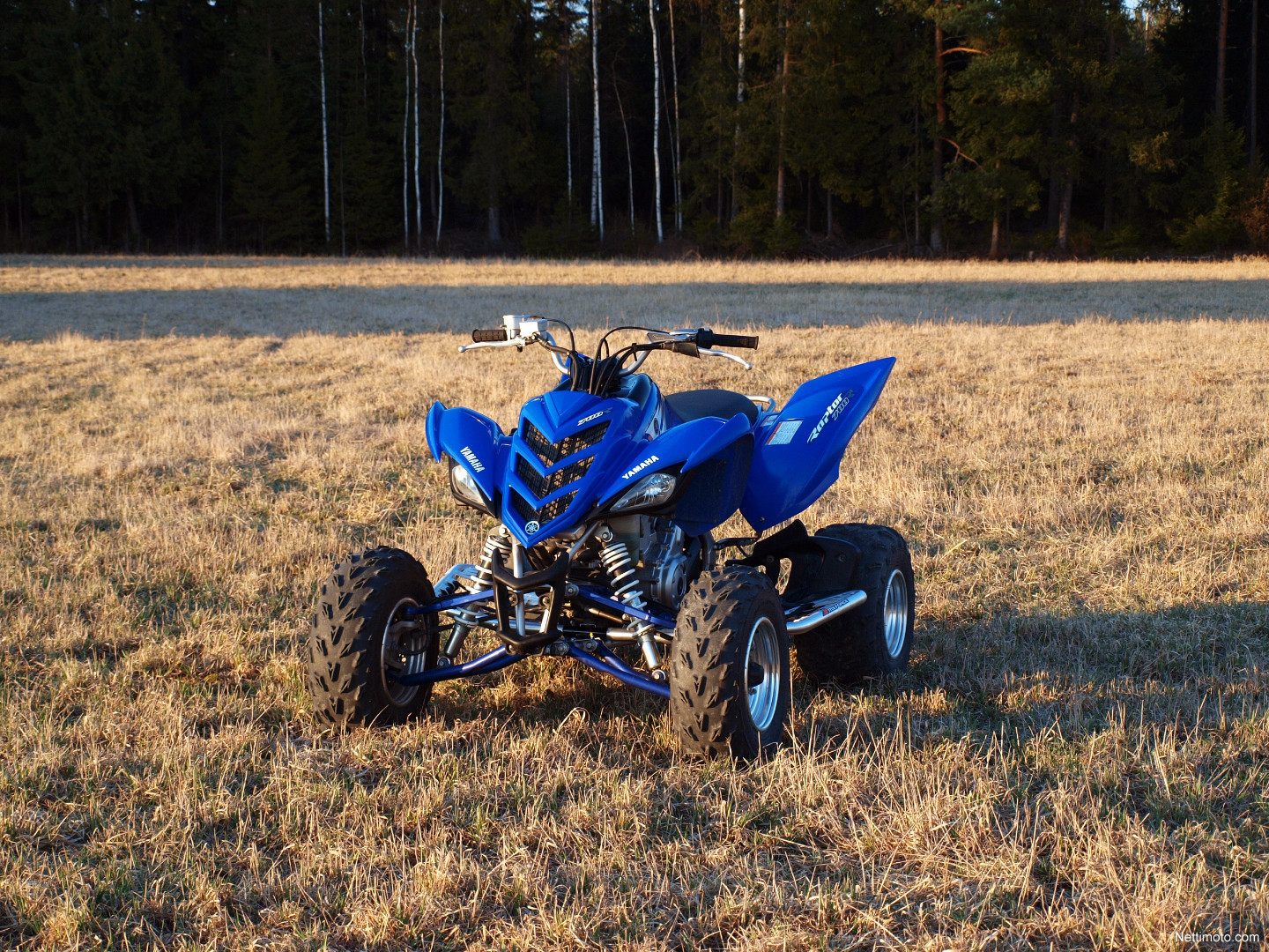 Yamaha Raptor