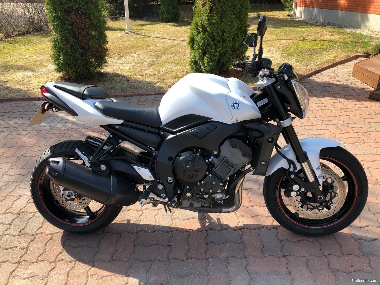 Yamaha FZ1-N
