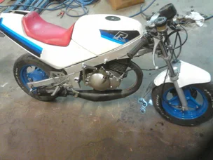 Suzuki R