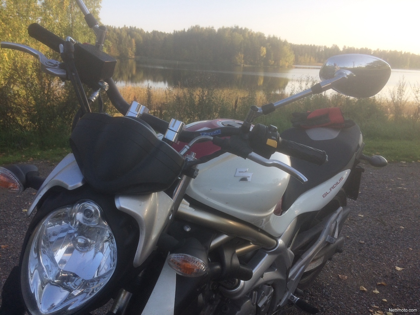 Suzuki SFV 650 Gladius